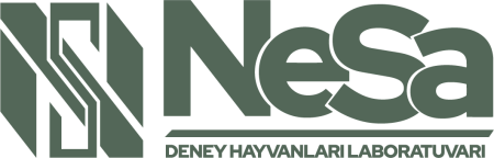 Nesa Logo